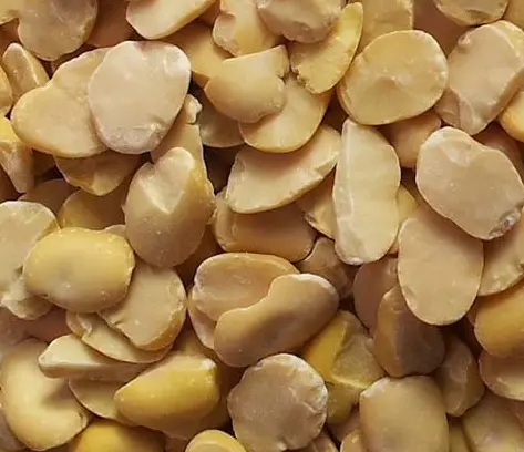 Split Fava Beans